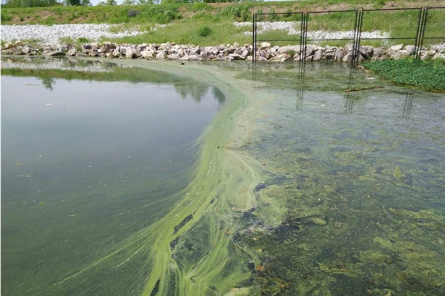 Nanofiltration for the removal of harmful algal toxins from Lake Fayetteville